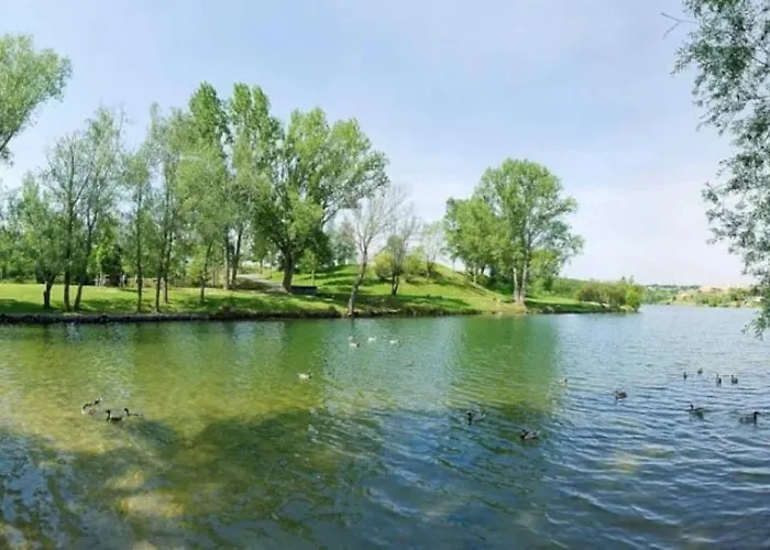 Zecamping 3 Dog Friendly Avec Piscine Au Bord Du Lac De La Thesauque Alpesi faház *